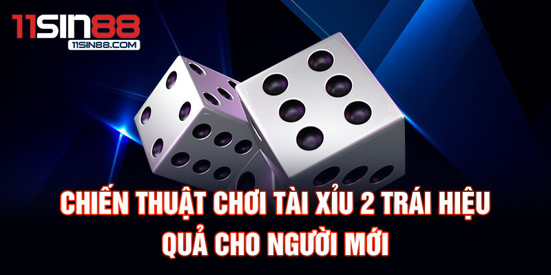 Chiến thuật chơi Tài Xỉu 2 Trái hiệu quả cho người mới